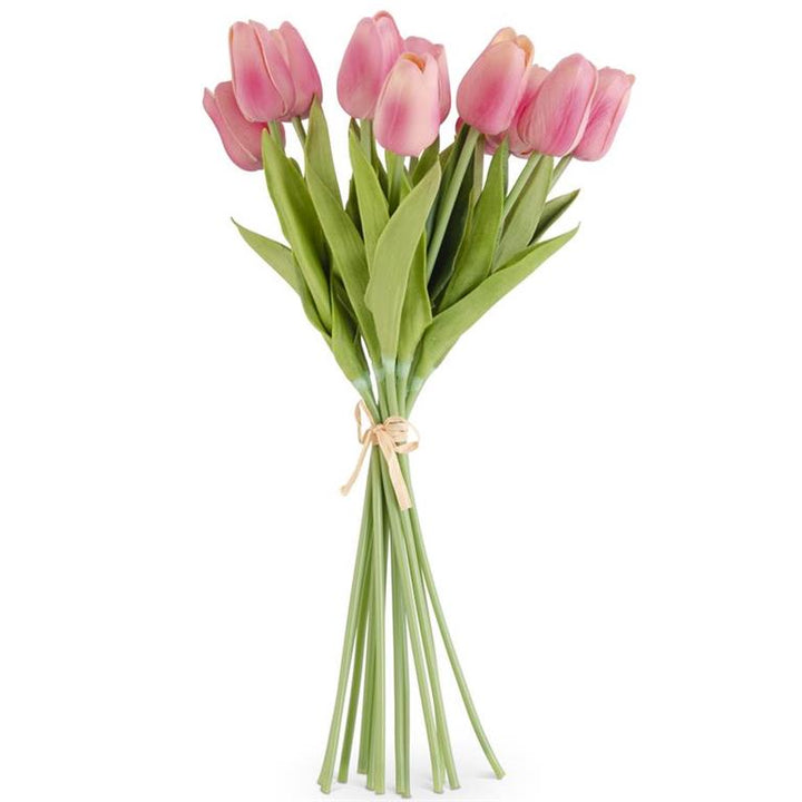 Mini Tulip Bundle