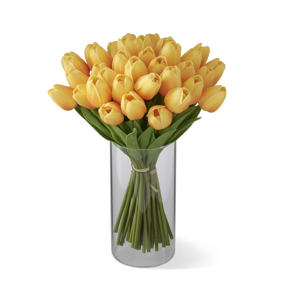 Mini Tulip Bundle