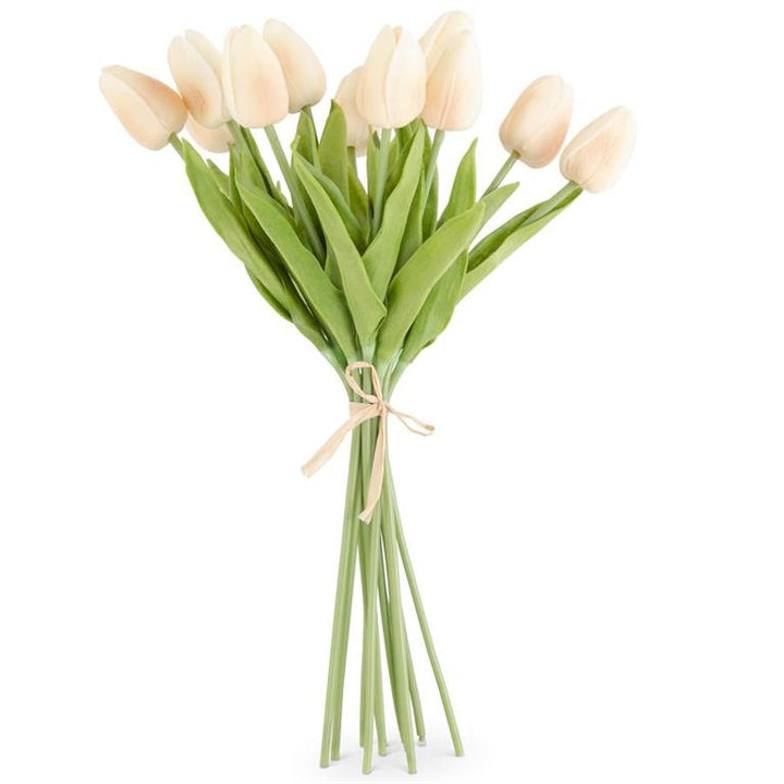 Mini Tulip Bundle