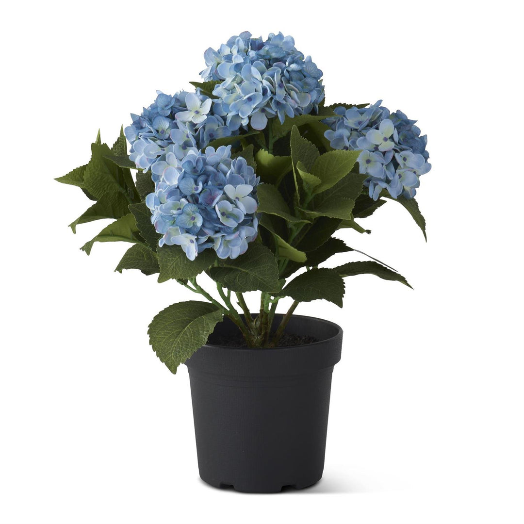 Hydrangea Pot
