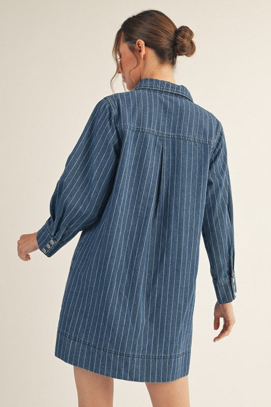 Floral Embroidered Denim Dress