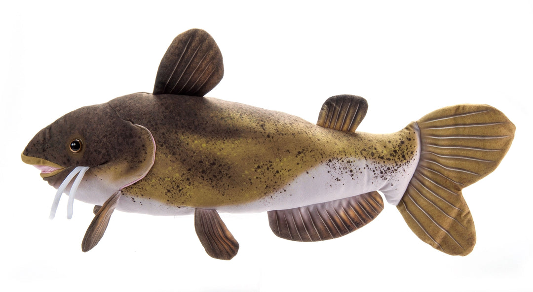 River Fish Channel Catfish Medium 20"