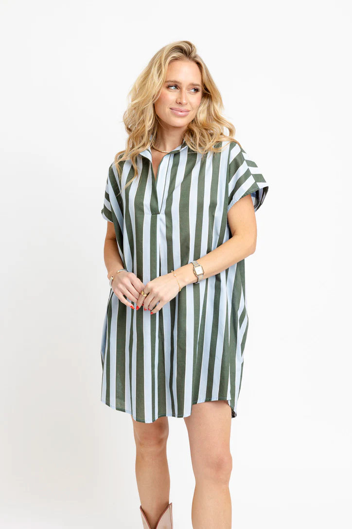 Bold Stripe Vneck Collar Signature Shirt Dress
