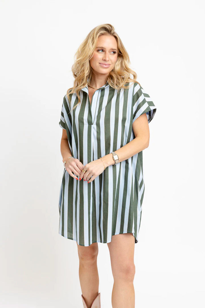 Bold Stripe Vneck Collar Signature Shirt Dress