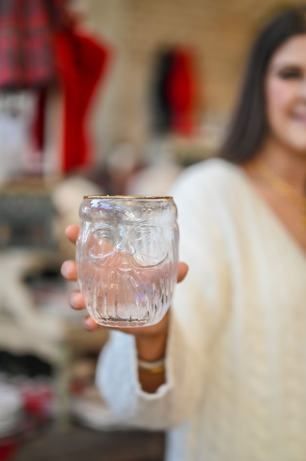 Santa Drinking Glass