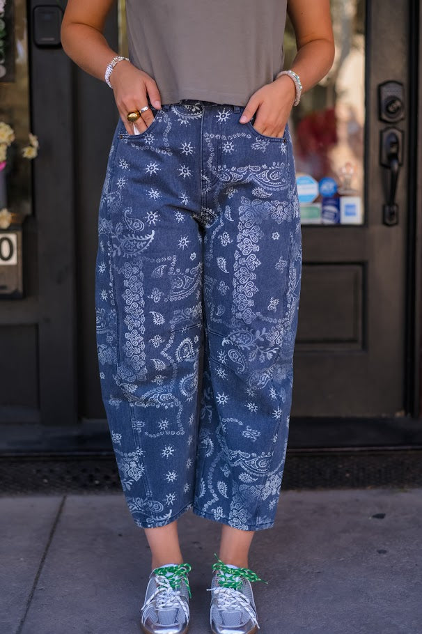 Paisley Print Washed Pants