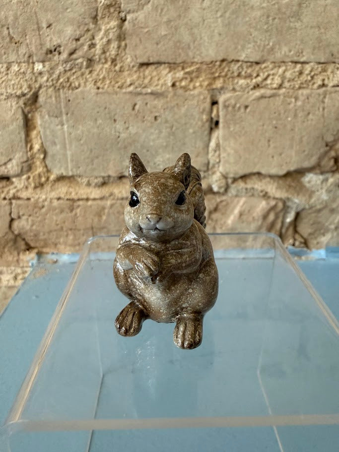 Seguin Squirrel