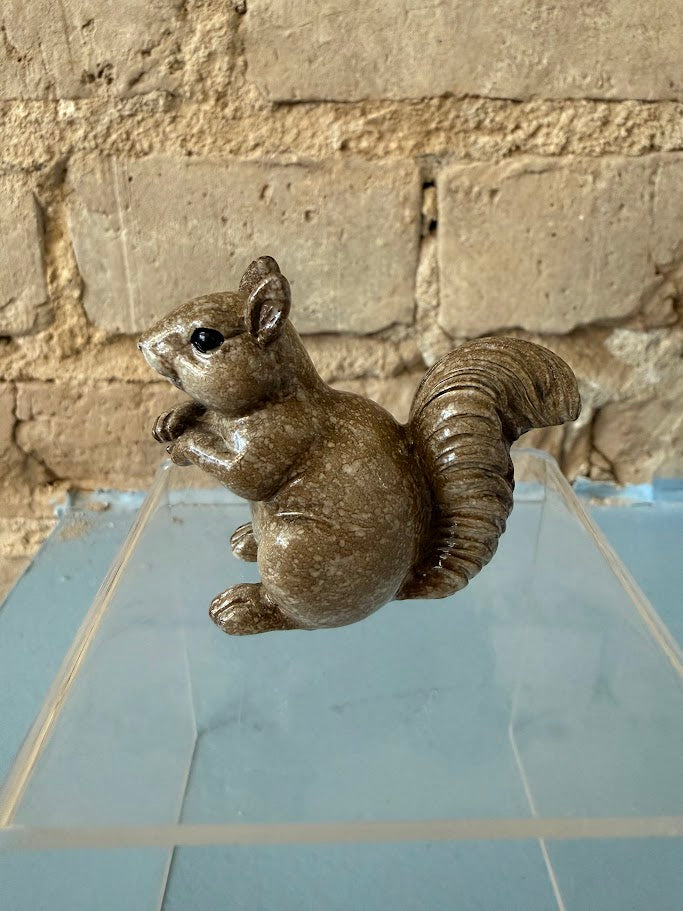 Seguin Squirrel
