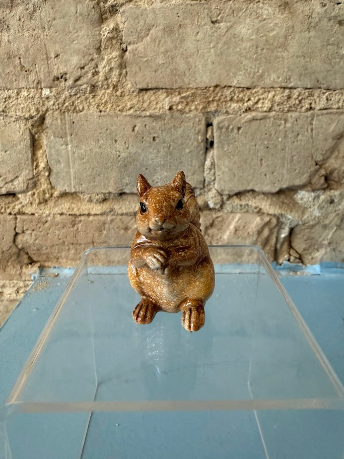 Seguin Squirrel
