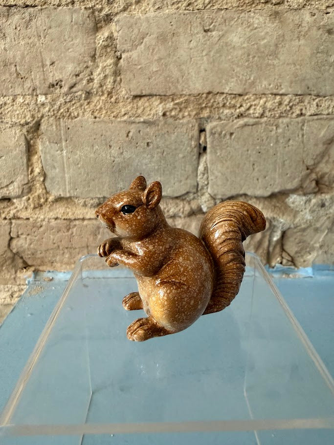 Seguin Squirrel