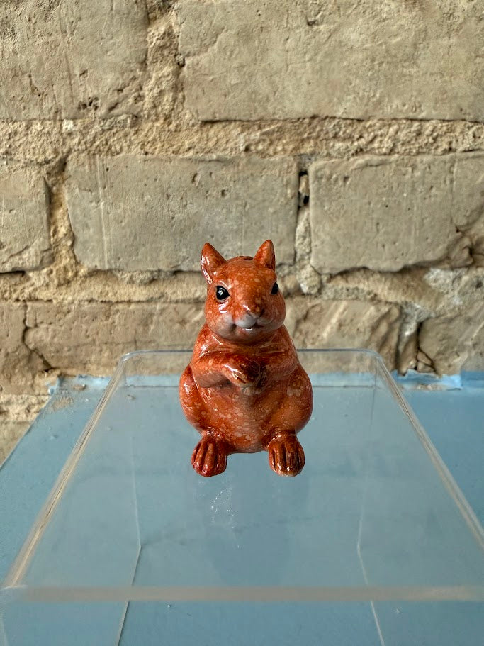 Seguin Squirrel