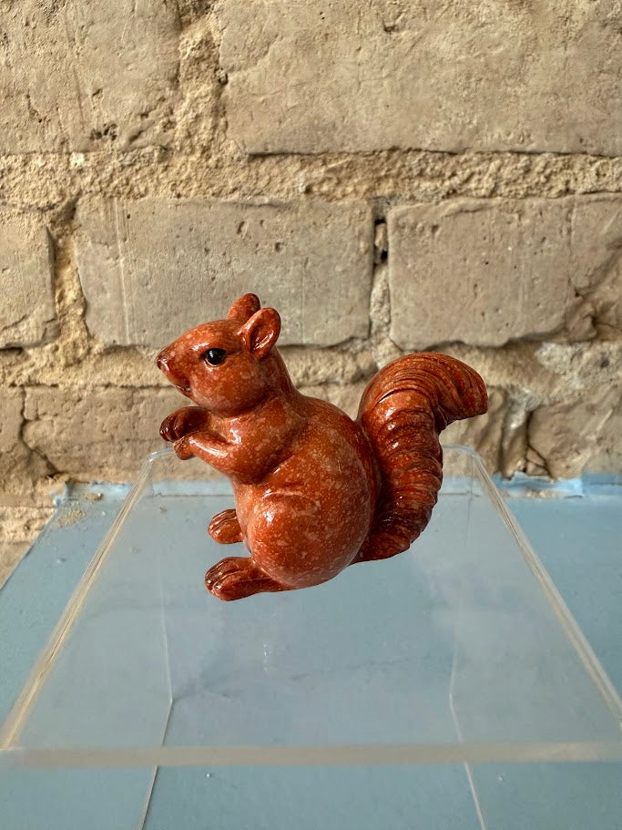 Seguin Squirrel