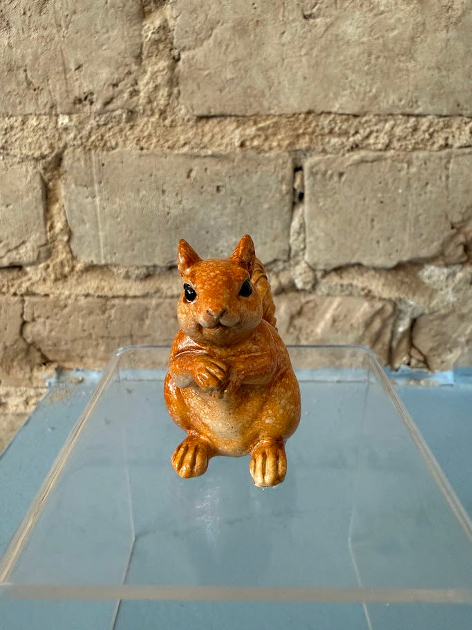 Seguin Squirrel