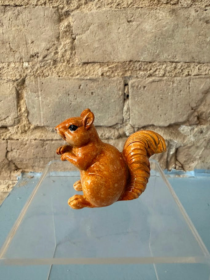 Seguin Squirrel