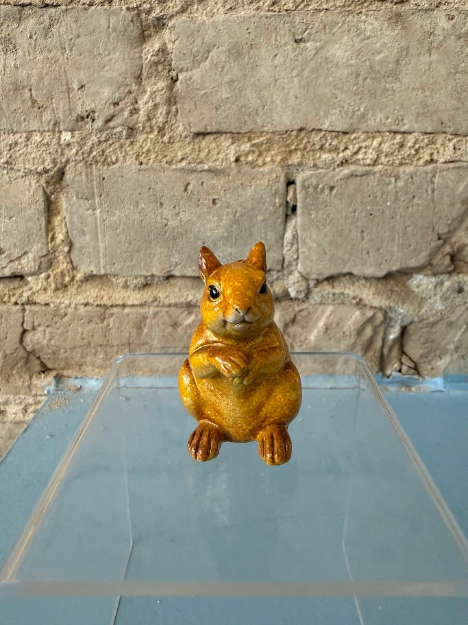 Seguin Squirrel