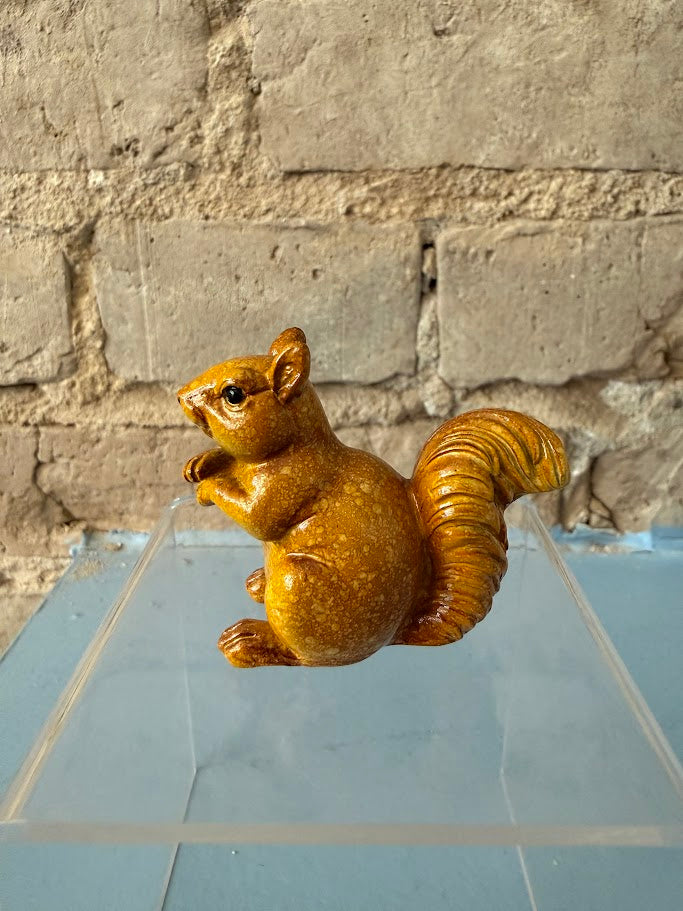 Seguin Squirrel