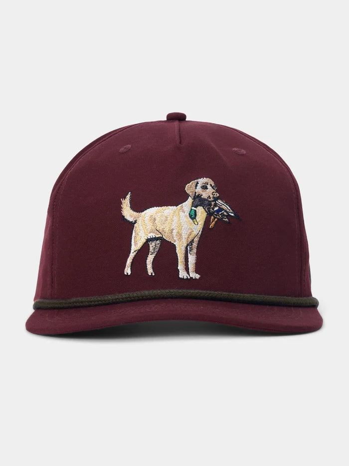 Duck Camp Grandpa Hat - Yellow Lab