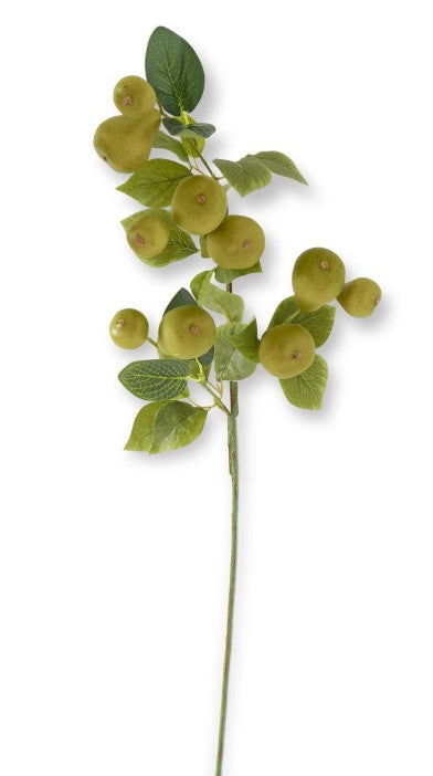 31 Inch Green Speckled Pear Stem