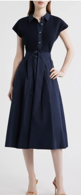 Navy Noon Collared Dress