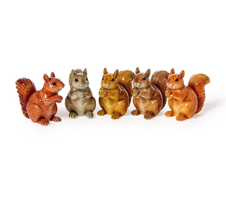 Seguin Squirrel