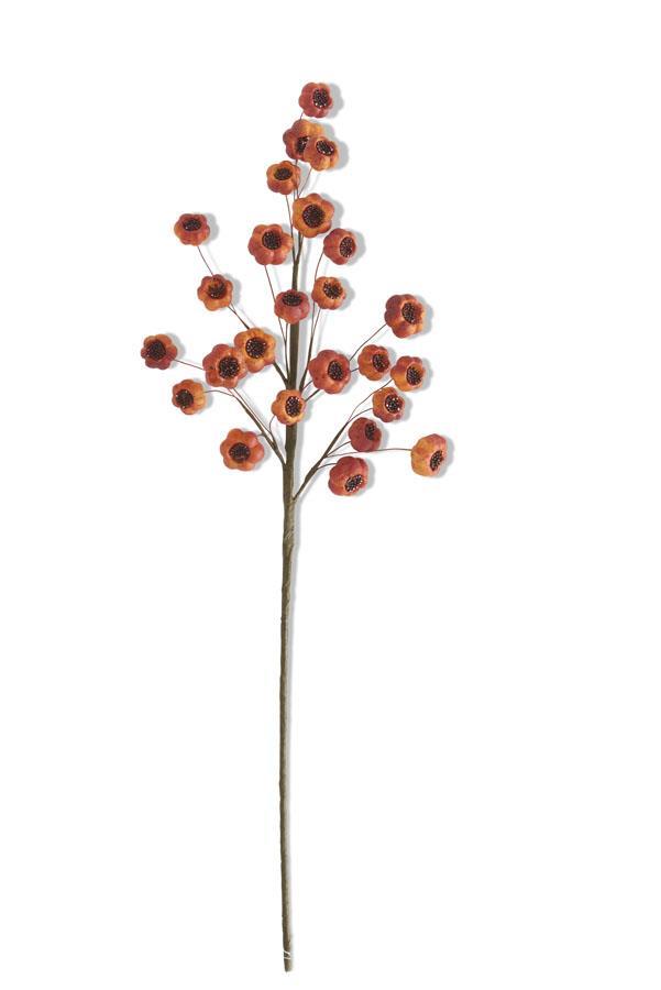 Orange Fig Spray